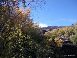 llone monte Zappinazzo-04-11-2012 09-54-04